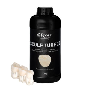 Rodin Sculpture 2.0