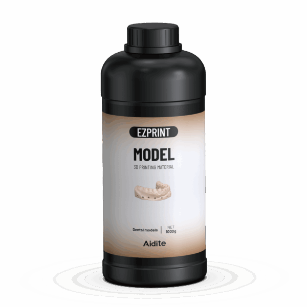 Aidite Dental Model Almond