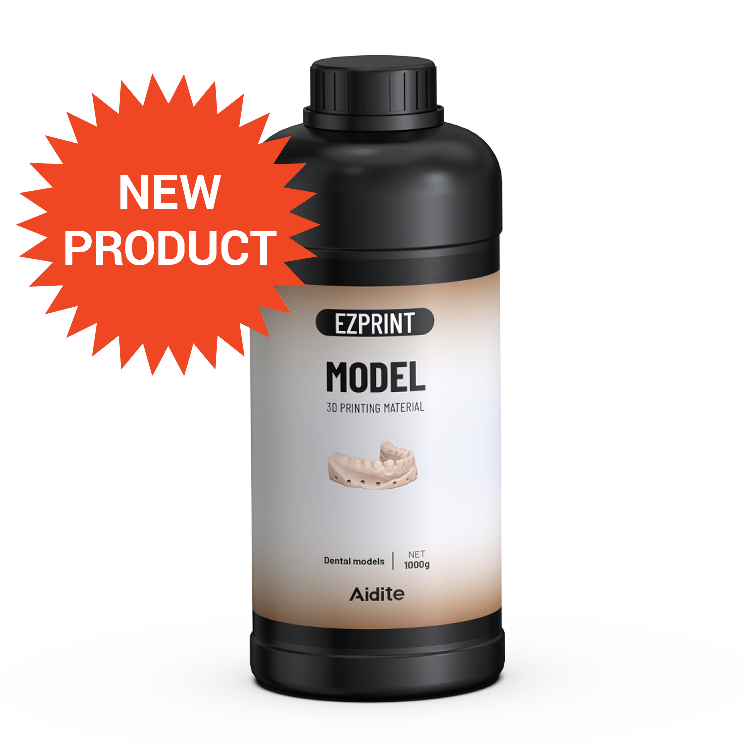 Aidite Dental Model Almond