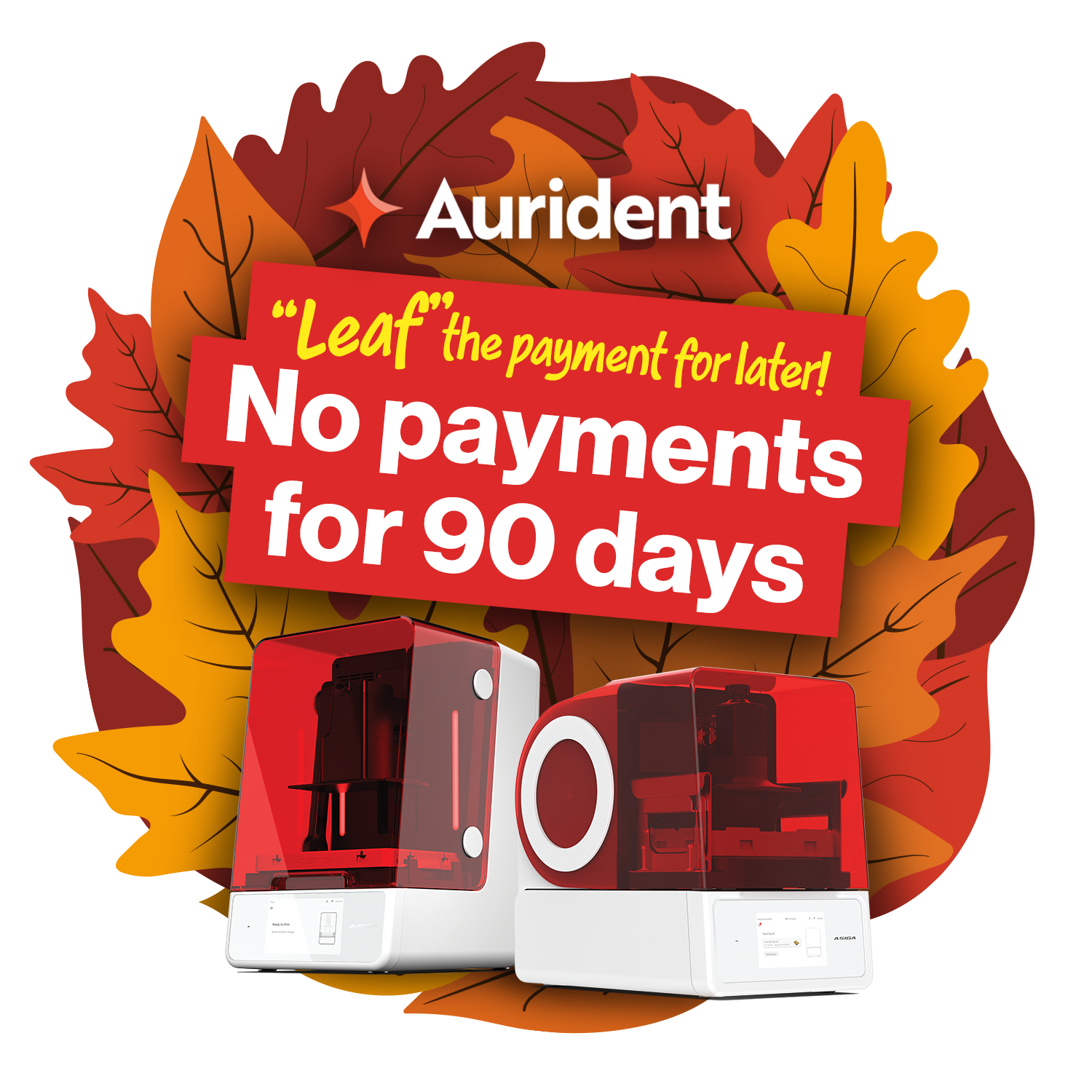 Fall Promotion